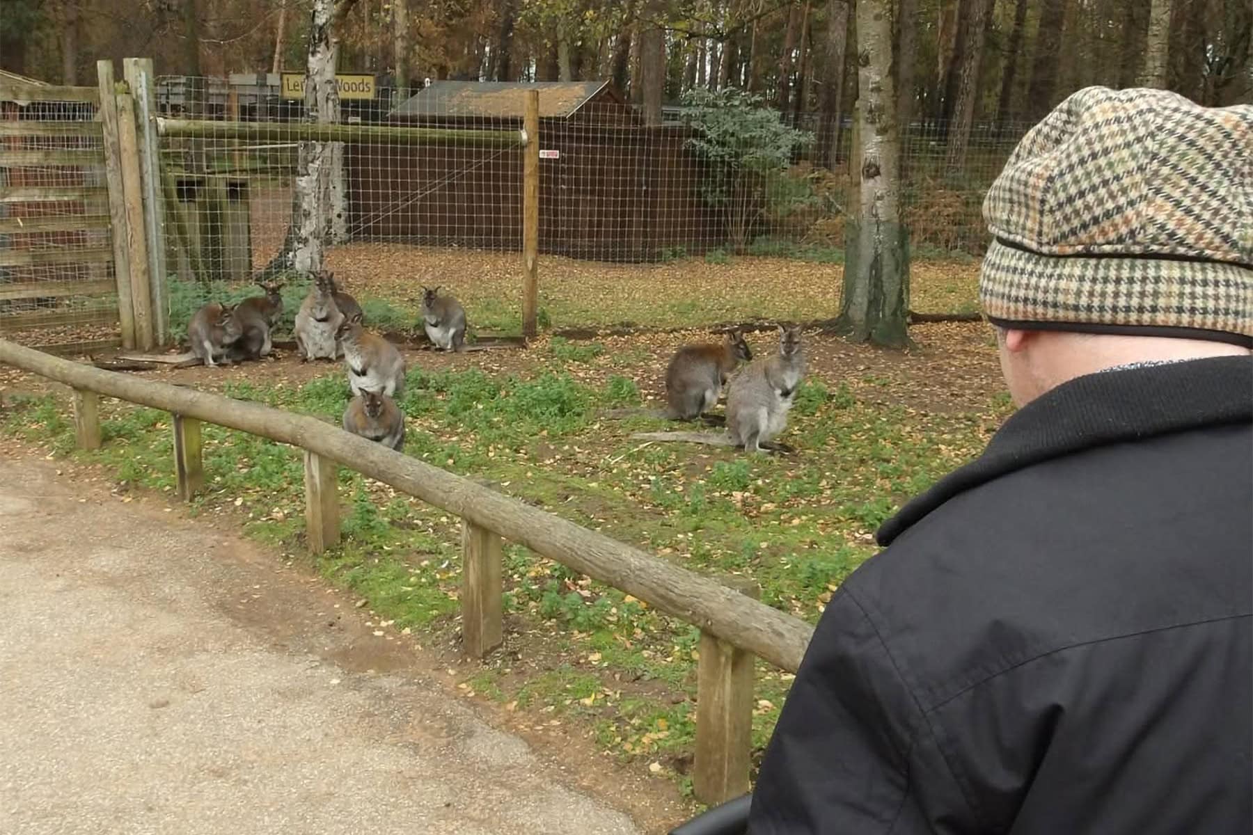 A visit to the zoo.